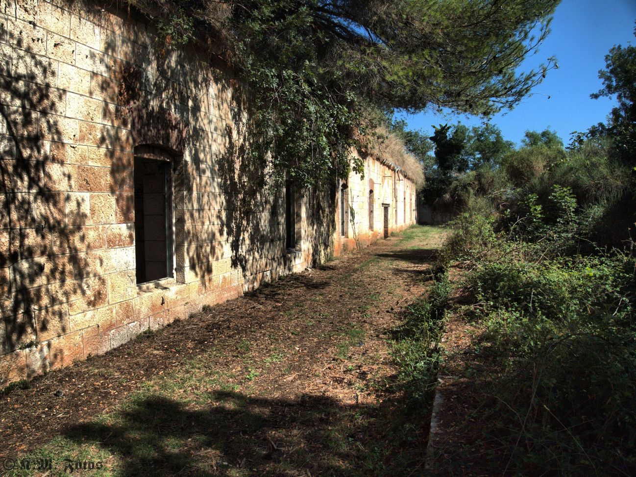 Fort San Daniele